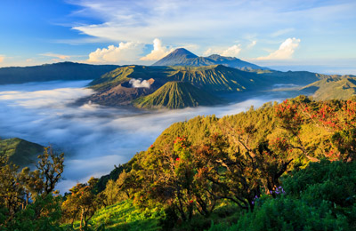“세계 최대 페리 웹사이트”에서 안심하고 결제하세요.