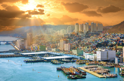 다른 고객들이 조회한 저렴한 가격들을 확인해보세요